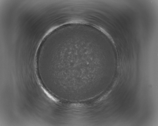 X0000080681037200612151217