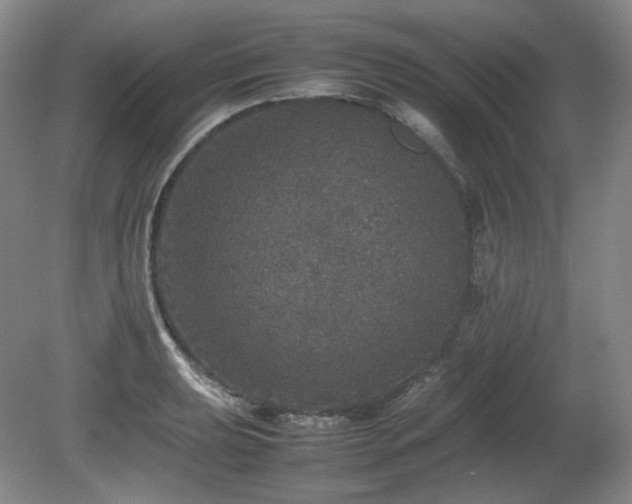 X0000080681039200612151217