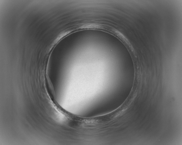 X0000080681041200612151218