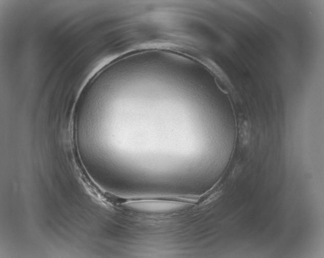 X0000080681044200612151218