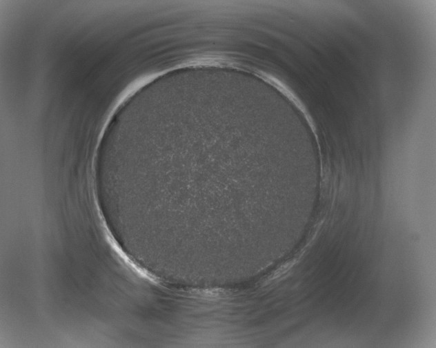 X0000080681045200612151218