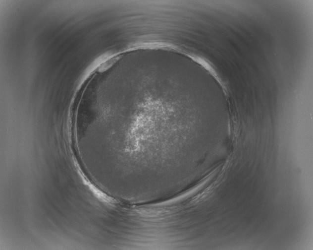 X0000080681046200612151218