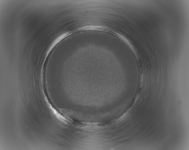 X0000080681050200612151218
