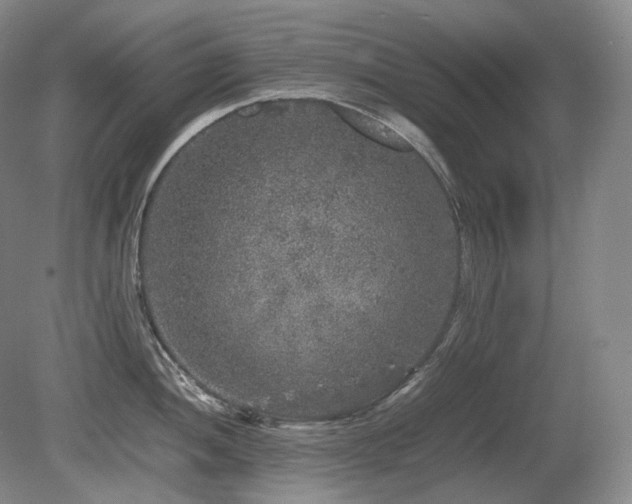 X0000080681052200612151218