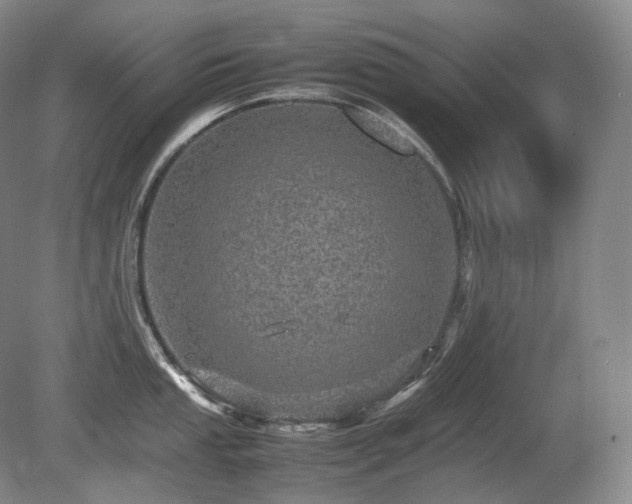 X0000080681053200612151218
