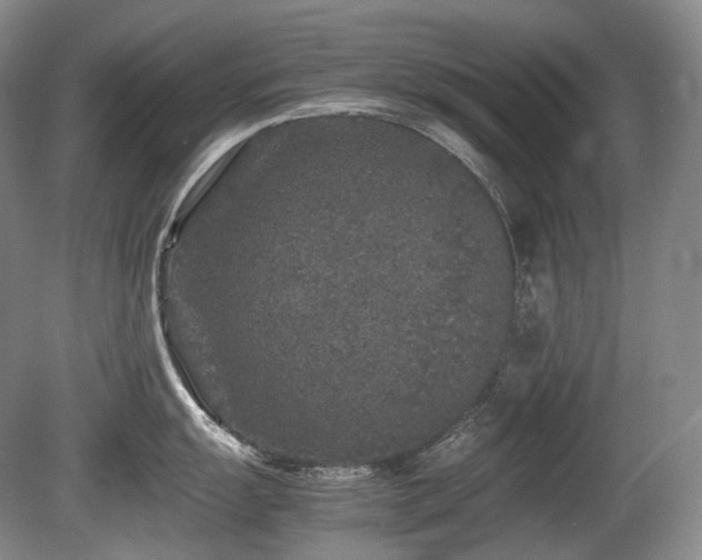 X0000080681055200612151218