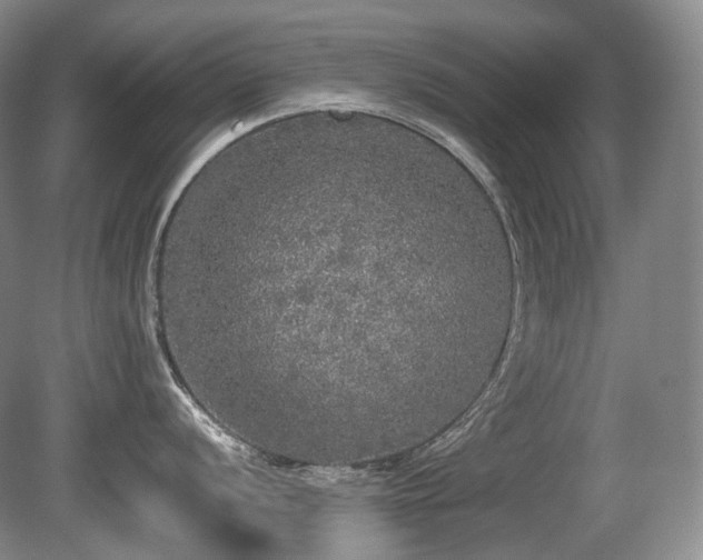 X0000080681056200612151218