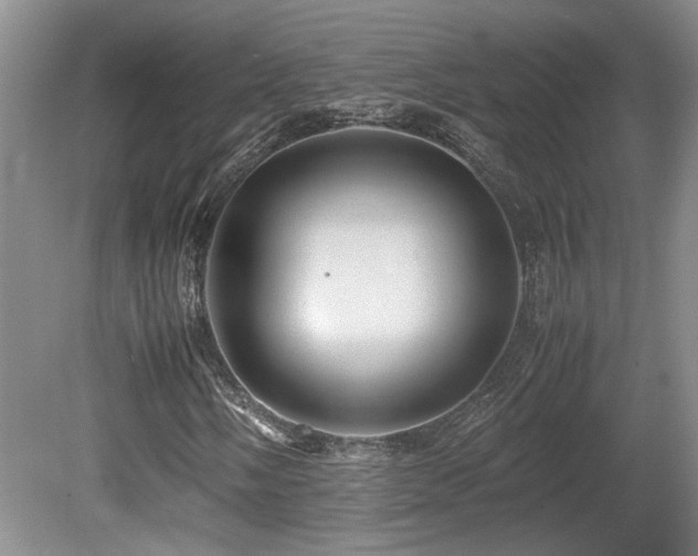 X0000080681058200612151217