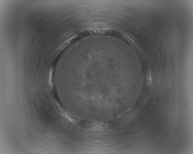 X0000080681060200612151217
