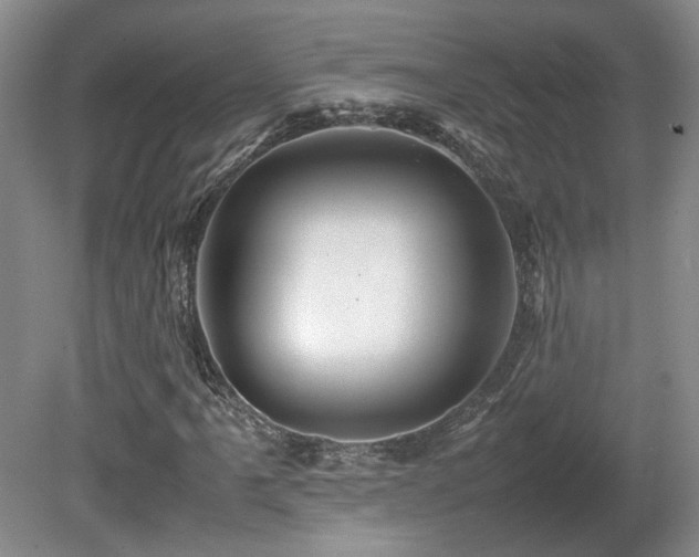 X0000080681061200612151217