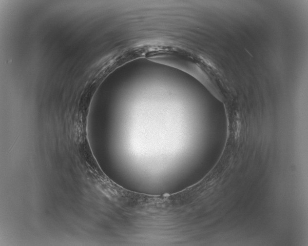 X0000080681062200612151217