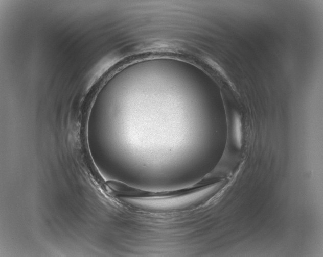 X0000080681066200612151217