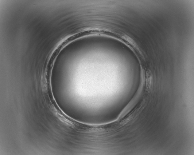 X0000080681068200612151217