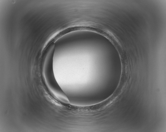 X0000080681069200612151217