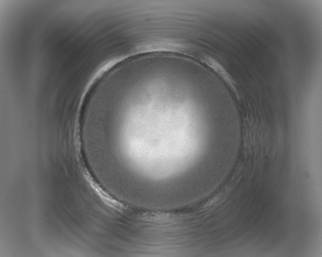 X0000080681072200612151217