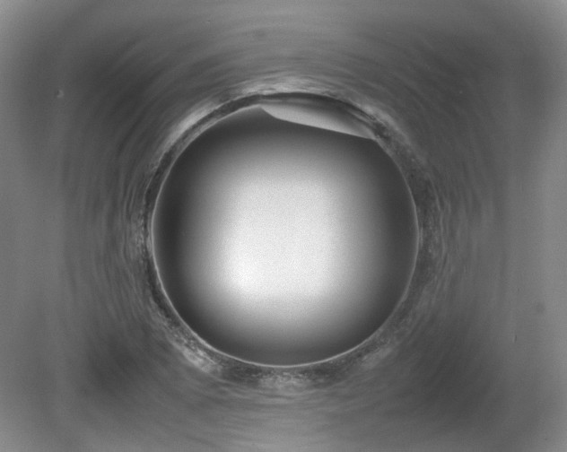 X0000080681073200612151217