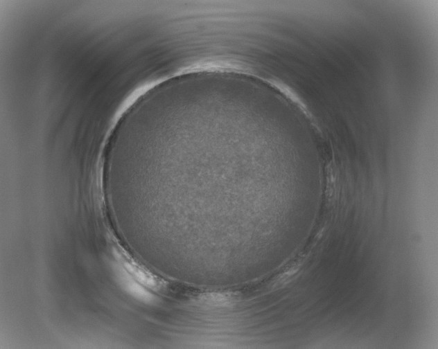 X0000080681078200612151217