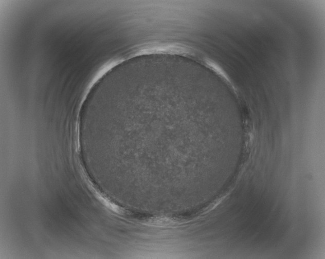 X0000080681079200612151217