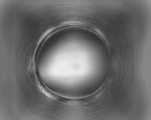X0000080681082200612151217