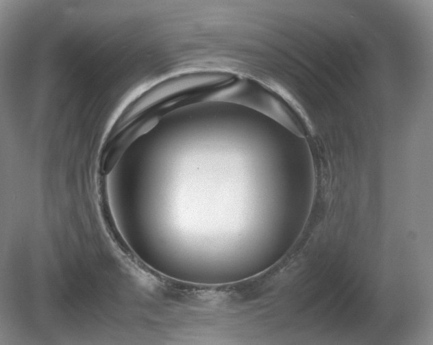 X0000080681085200612151216
