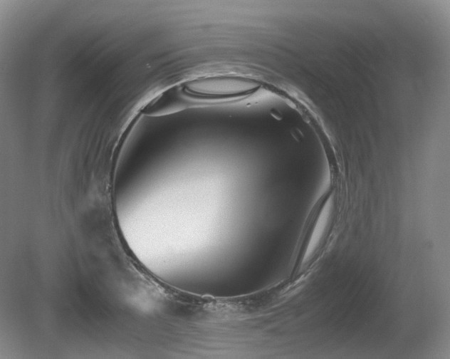 X0000080681089200612151216