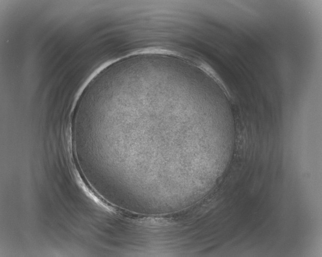 X0000080681092200612151216