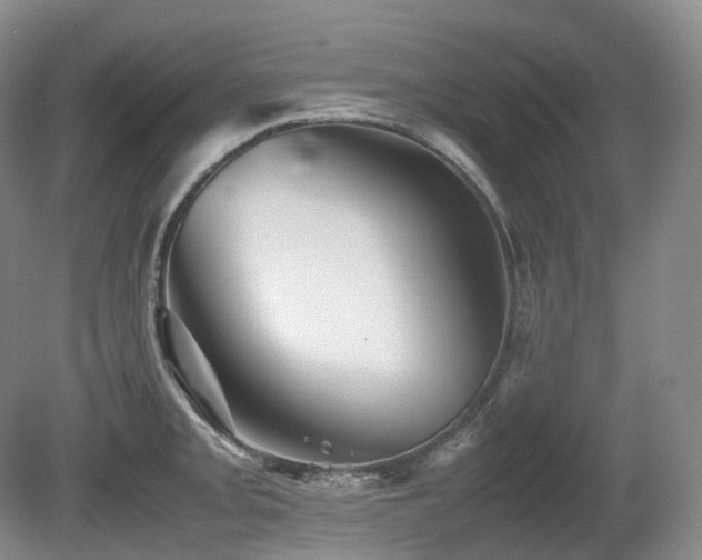 X0000080681093200612151216