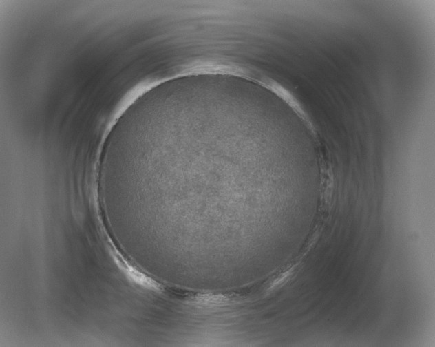 X0000080681094200612151216