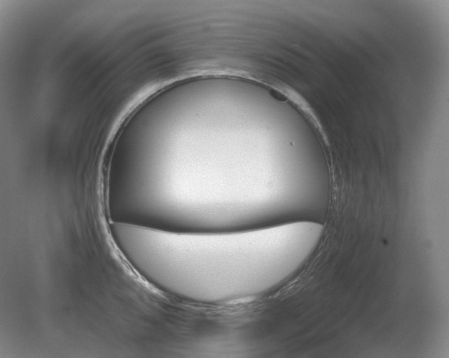 X0000080681096200612151216