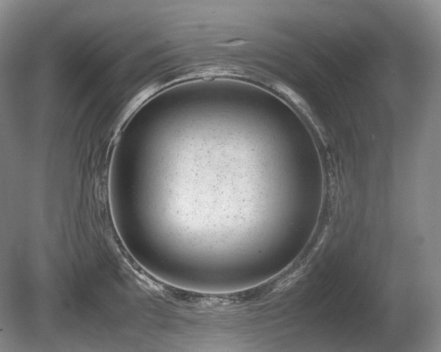X0000080681097200612151216