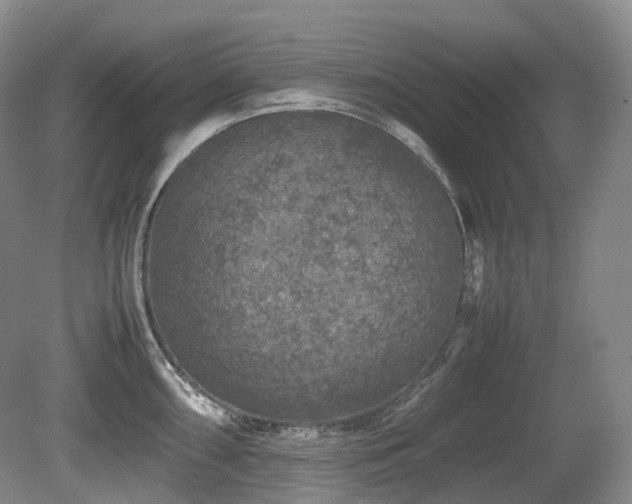X0000080681098200612151216