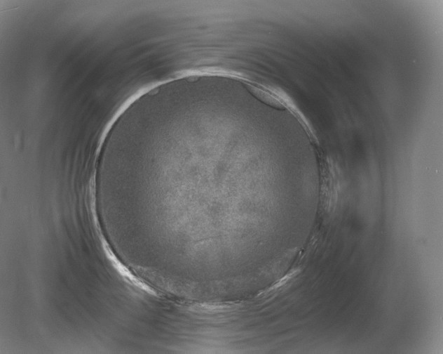 X0000080681100200612151216