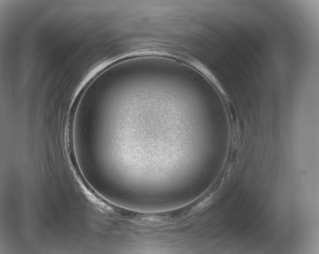 X0000080681101200612151216