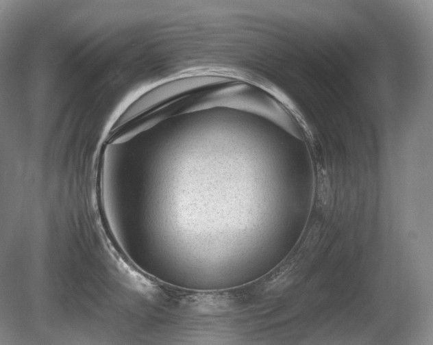 X0000080681102200612151216