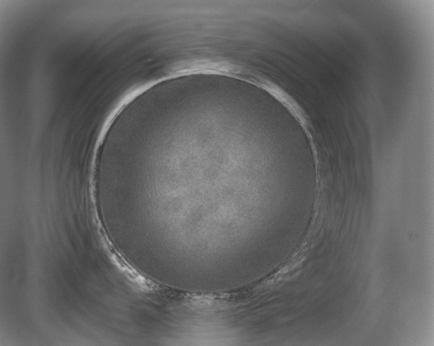 X0000080681104200612151216