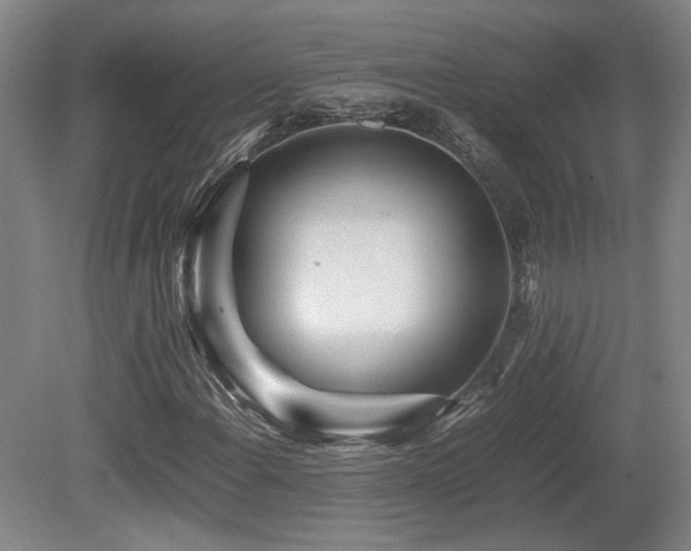 X0000080681108200612151215