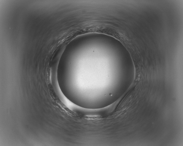 X0000080681109200612151215