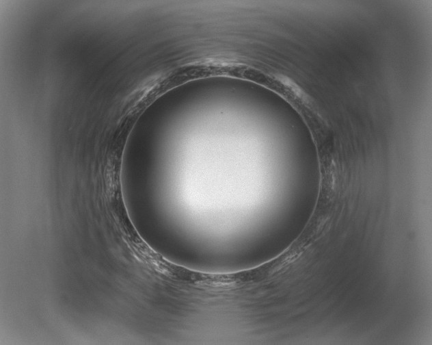 X0000080681110200612151215