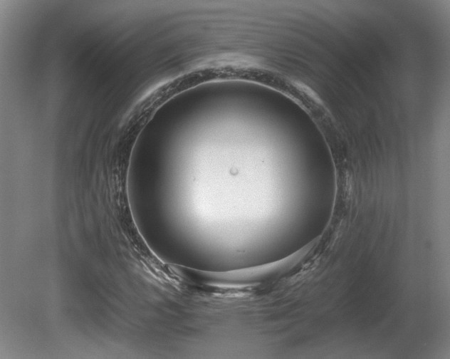 X0000080681112200612151215