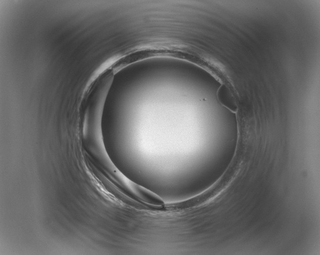 X0000080681114200612151215