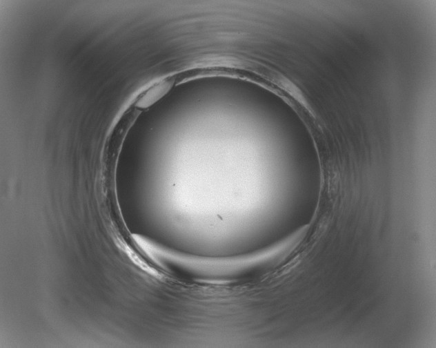 X0000080681116200612151216