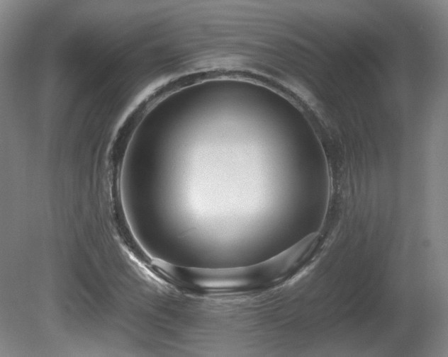 X0000080681118200612151216