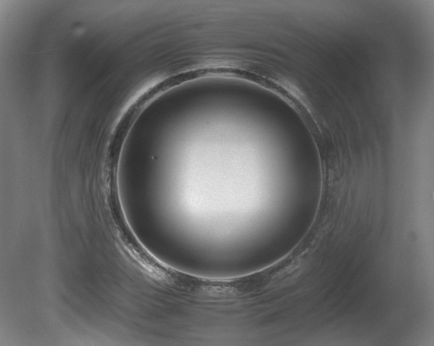 X0000080681119200612151216