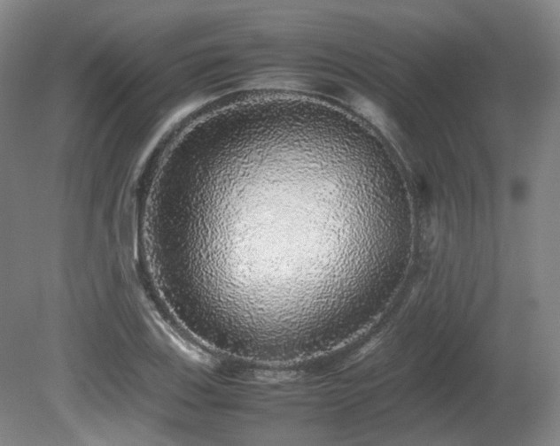 X0000080681123200612151216