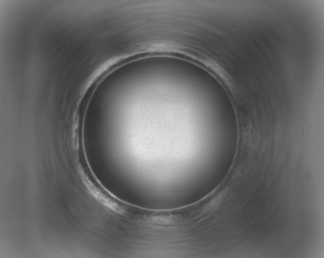 X0000080681126200612151216