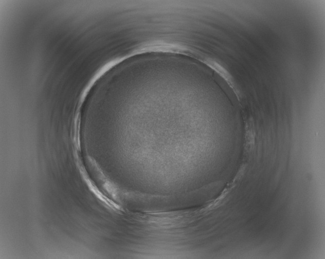 X0000080681128200612151216