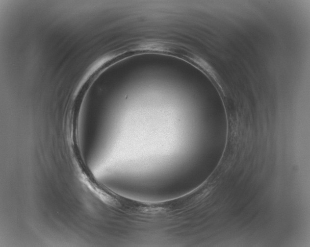 X0000080681131200612151216