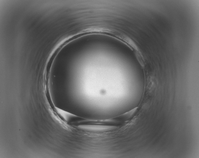 X0000080681132200612151216