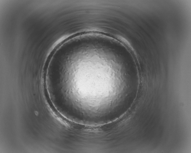 X0000080681133200612151216