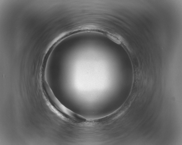 X0000080681134200612151216